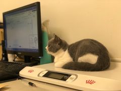 -爱诺耐芙动物医院(万博店)