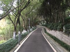 -重庆园博园