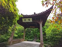 -龙井村
