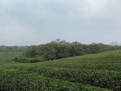 -敬亭山风景名胜区