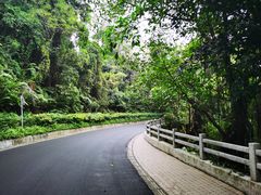 -广州市白云山风景名胜区