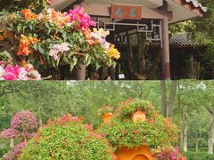 -广州市白云山风景名胜区
