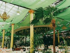 -陶然居·重庆菜(生态园店)