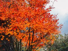 -山王坪喀斯特国家生态公园