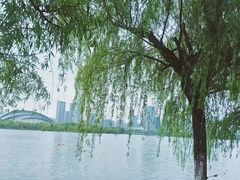 -天鹅湖体育公园
