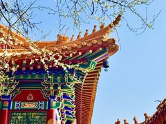 -高尔山公园