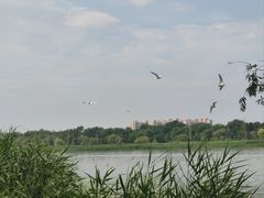 -绿堤公园