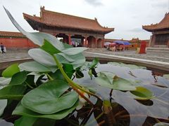 -清东陵