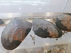 -十八字金·银饰·开蚌DIY·手工体验团建(富力广场店)