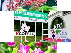 -深圳市中科院仙湖植物园