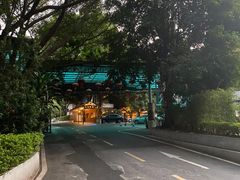 -火炉山森林公园