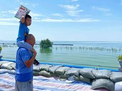 -合肥滨湖国家森林公园