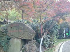 -南京市江宁方山