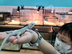 -Moni星球萌宠·小马宝莉·灵蛇·高端高阶全萌宠互动体验俱乐部(红豆国际广场店)