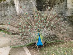 -梦幻奥陶纪景区