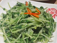 凉拌豆苗-老班长手工灌汤包老店(东山店)