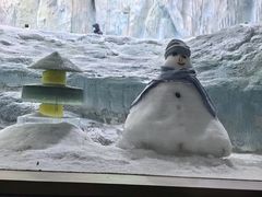 -帝企鹅自助餐厅•儿童岛•真企鹅(长隆企鹅酒店)