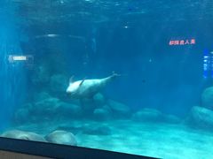 -福州罗源湾海洋世界旅游区