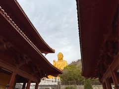 -大伊山景区