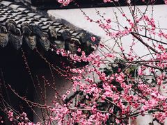 -郭庄景区