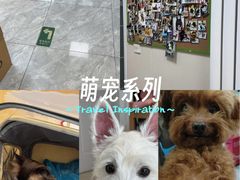 -美联众合爱康动物医院•复杂内科•肿瘤科•牙科•腔镜诊疗中心