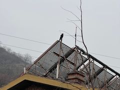 -北京水岸山吧度假村(雁栖镇店)