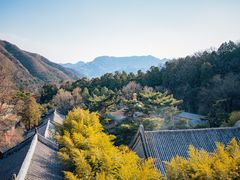-潭柘寺景区