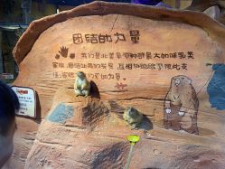 点击看大图 -奇幻萌宠部落(映月湖环宇城店)