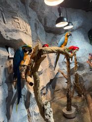 -Zoolung Zoolung动物主题公园(海信广场店)