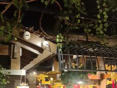 -龙抄手食府(浣花北路店)