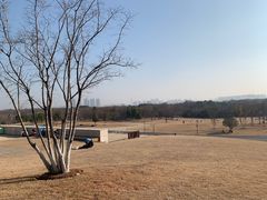 -盘龙城国家考古遗址公园