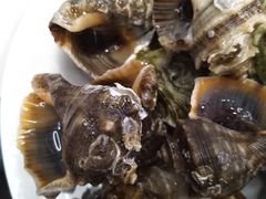 小海螺-圣罗巴海鲜烤肉自助(鲅鱼圈万达店)