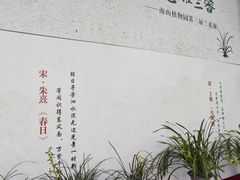-南山植物园
