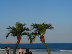 -巧克力渔家.小船海鲜家常菜(万平口店)