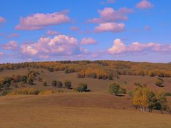 -塞罕坝国家级自然保护区