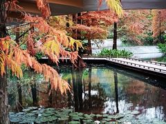-云溪植物园
