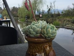 -万景饭店·鱼街农家菜