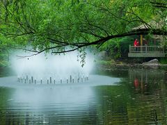 -共青国家森林公园-南大门停车场