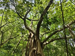 -水濂山森林公园