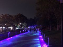 -莫子山公园
