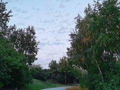 -群力丁香公园