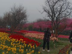 -秀丽东方