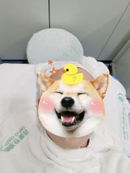 -上海漾颜医疗美容