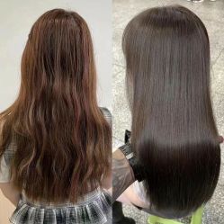 -YESIDO椰岛造型