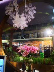 -花隐·美芙炫海菲秀皮肤管理中心