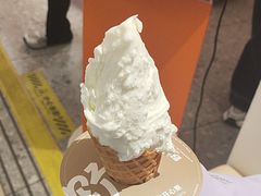 -野人先生现做冰淇淋(北京王府井东方新天地店)