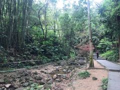 -火炉山森林公园