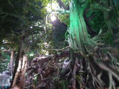 -福州罗源湾海洋世界旅游区