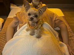 -菩泰·泰式草本按摩SPA(武汉新天地南馆店)