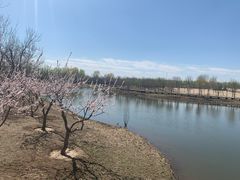 -东郊湿地公园